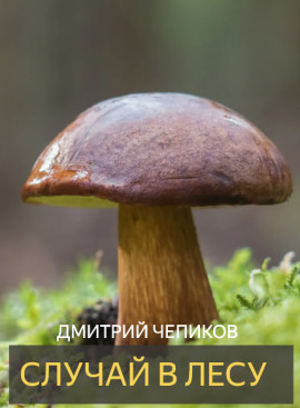 Случай в лесу - Дмитрий Чепиков - Аудиокниги лучшие mp3 слушать ~ бесплатно без регистрации - knigaaudio.com