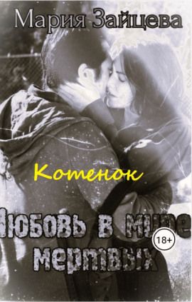 Котёнок -                   Мария Зайцева - Аудиокниги лучшие mp3 слушать ~ бесплатно без регистрации - knigaaudio.com