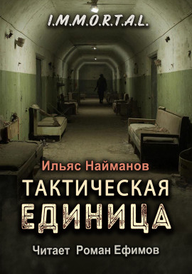 Тактическая единица -                   Ильяс Найманов - Аудиокниги лучшие mp3 слушать ~ бесплатно без регистрации - knigaaudio.com