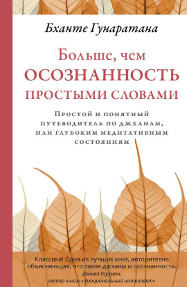 Больше, чем осознанность простыми словами. Простой и понятный путеводитель по джханам, или глубоким медитативным состояниям - Бханте Хенепола Гунаратана - Аудиокниги лучшие mp3 слушать ~ бесплатно без регистрации - knigaaudio.com