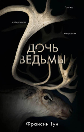 Дочь ведьмы -                   Тун Франсин - Аудиокниги лучшие mp3 слушать ~ бесплатно без регистрации - knigaaudio.com