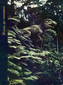 Жизнь до человека -                   Питер Вуд - Аудиокниги лучшие mp3 слушать ~ бесплатно без регистрации - knigaaudio.com