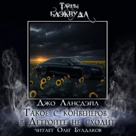 Такое с конвейеров в Детройте не сходит - Джо Р. Лансдейл - Аудиокниги лучшие mp3 слушать ~ бесплатно без регистрации - knigaaudio.com