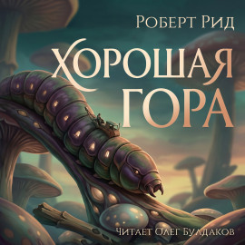 Хорошая гора - Роберт Рид - Аудиокниги лучшие mp3 слушать ~ бесплатно без регистрации - knigaaudio.com