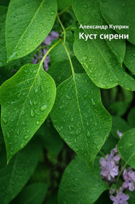 Куст сирени - Александр Куприн - Аудиокниги лучшие mp3 слушать ~ бесплатно без регистрации - knigaaudio.com