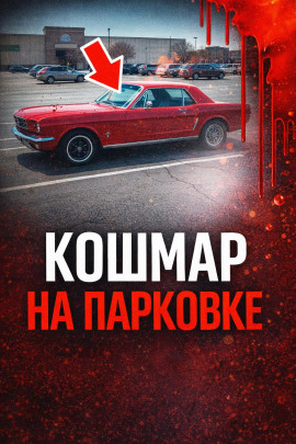 34 года поиска - Автор неизвестен - Аудиокниги лучшие mp3 слушать ~ бесплатно без регистрации - knigaaudio.com