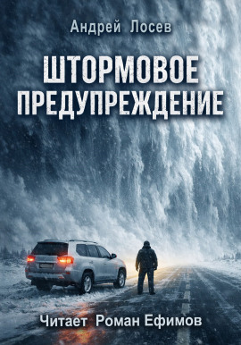 Штормовое предупреждение -                   Андрей Лосев - Аудиокниги лучшие mp3 слушать ~ бесплатно без регистрации - knigaaudio.com