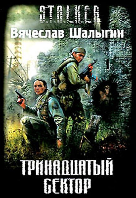 Тринадцатый сектор - Вячеслав Шалыгин - Аудиокниги лучшие mp3 слушать ~ бесплатно без регистрации - knigaaudio.com