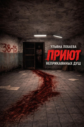Приют неприкаянных душ - Ульяна Лобаева - Аудиокниги лучшие mp3 слушать ~ бесплатно без регистрации - knigaaudio.com