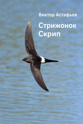 Стрижонок Скрип - Виктор Астафьев - Аудиокниги лучшие mp3 слушать ~ бесплатно без регистрации - knigaaudio.com