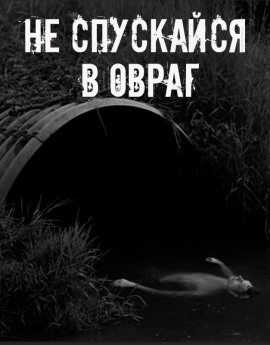 Не спускайся в овраг - Автор неизвестен - Аудиокниги лучшие mp3 слушать ~ бесплатно без регистрации - knigaaudio.com