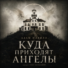 Куда приходят ангелы - Адам Нэвилл - Аудиокниги лучшие mp3 слушать ~ бесплатно без регистрации - knigaaudio.com