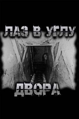 Лаз в углу двора - Роман Чёрный - Аудиокниги лучшие mp3 слушать ~ бесплатно без регистрации - knigaaudio.com
