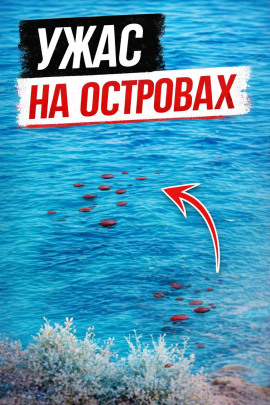 Смерть у скал - Автор неизвестен - Аудиокниги лучшие mp3 слушать ~ бесплатно без регистрации - knigaaudio.com
