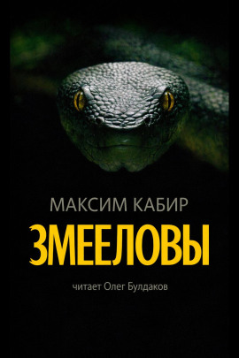 Змееловы. Исцеление - Максим Кабир - Аудиокниги лучшие mp3 слушать ~ бесплатно без регистрации - knigaaudio.com