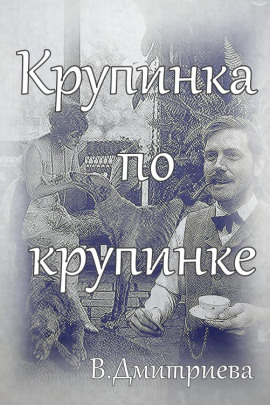 Крупинка по крупинке - Валентина Дмитриева - Аудиокниги лучшие mp3 слушать ~ бесплатно без регистрации - knigaaudio.com