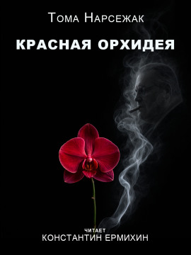 Красная орхидея - Тома Нарсежак - Аудиокниги лучшие mp3 слушать ~ бесплатно без регистрации - knigaaudio.com