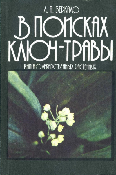 В поисках ключ-травы - Людмила Беркало - Аудиокниги лучшие mp3 слушать ~ бесплатно без регистрации - knigaaudio.com