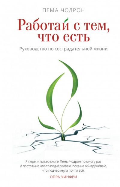 Работай с тем, что есть. Руководство по сострадательной жизни - Пема Чодрон - Аудиокниги лучшие mp3 слушать ~ бесплатно без регистрации - knigaaudio.com