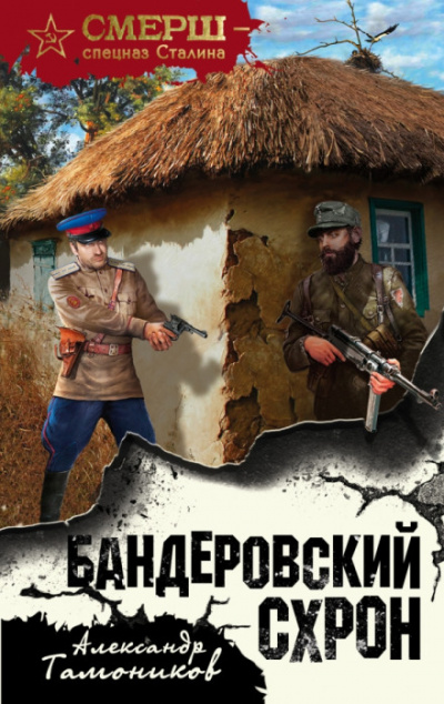 Бандеровский схрон - Александр Тамоников - Аудиокниги лучшие mp3 слушать ~ бесплатно без регистрации - knigaaudio.com